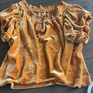 Free People Puff Sleeve velvet Top